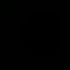 c08r488
