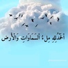 abo_miral1