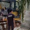 aldinjr03