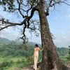 dikshya429