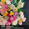 coman_diana321