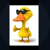 alex_aleatorio0