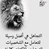 user9644660574313