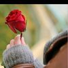 alordh_5