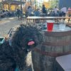 hermanthebikerdog_mom