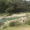 user_173636348