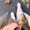 fashionist03