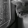sya_salsabilaa