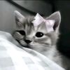 m1lkyy_13