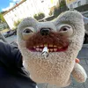 erroh__