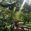 rini.fatmawati7