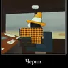 kowak.o