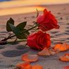 rehan57777