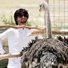 naveedhaider066