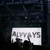 mollyranking