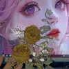 anvu_1210