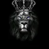 black_lion_music