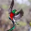 yasanbiy