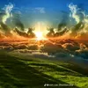 _duy019
