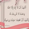 amanihouimel