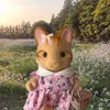 sunflower.knitting.co