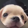 selinatcc0