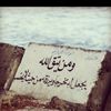 user5872253501580
