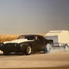 procharged81