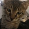 daniel_gaming842