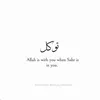 hafii_77