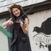 thejackdaws