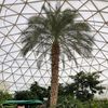 here_at_epcot