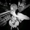 lyncute11_
