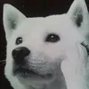 takuyanakamikawa