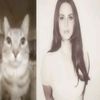 dianneycc