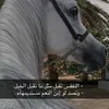 .6lje