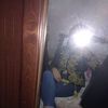 amina.mokhtari1