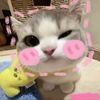 virawww__