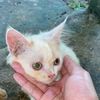 hendrisetiyadi1