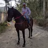 marcoinacio5