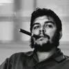bashergoran1