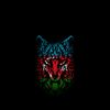 husswrxx226