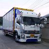 cat701907