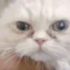 x_5_x1