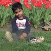 srijan_xo