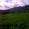 user61306085753031