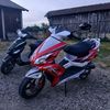 niksa253