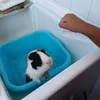 lacobayita