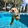 lovemeuspets
