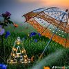 abdel.d745